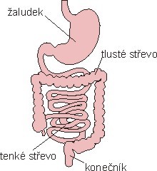 Travici trakt